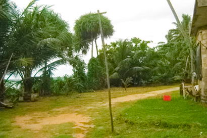 Sri Lanka Real Estate Beach