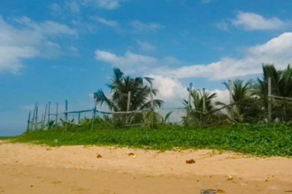 Sri Lanka Real Estate Beach