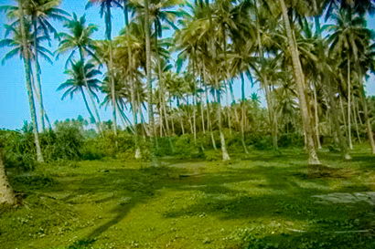 sri lanka beach property galle thalpe unawatuna