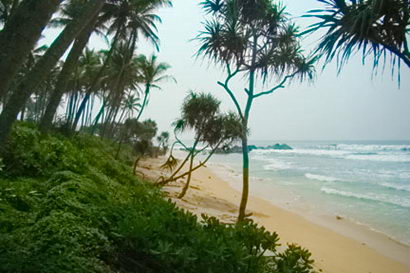 sri lanka beach property galle thalpe unawatuna