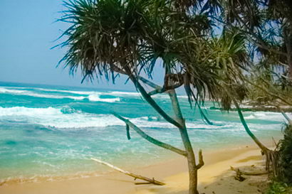 sri lanka beach property galle thalpe unawatuna
