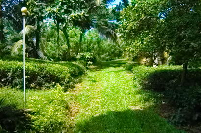 sri lanka beach property galle thalpe unawatuna