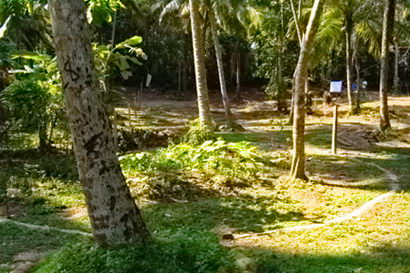 sri lanka beach property galle thalpe unawatuna