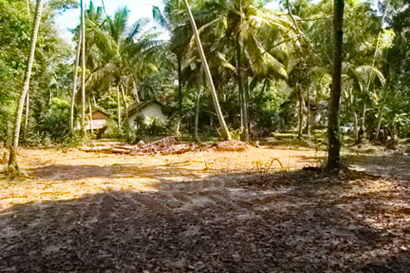 sri lanka beach property galle thalpe unawatuna