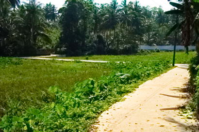 sri lanka beach property galle thalpe unawatuna