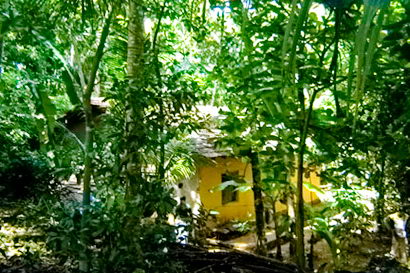 sri lanka beach property galle thalpe unawatuna