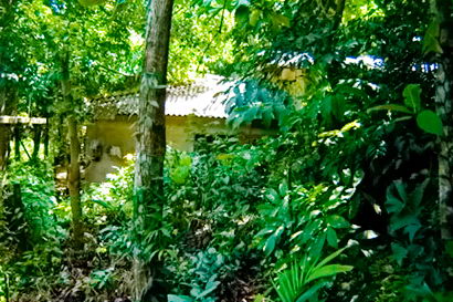 sri lanka beach property galle thalpe unawatuna