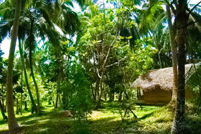 sri lanka beach property galle thalpe unawatuna
