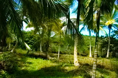 sri lanka beach property galle thalpe unawatuna