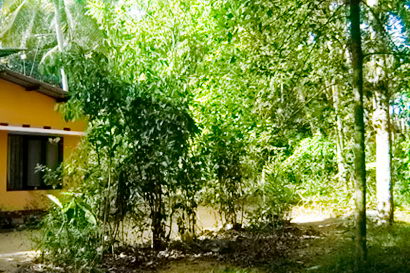 sri lanka beach real estate hikkaduwa