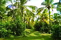 sri lanka beach property Hikkaduwa Sri Lanka