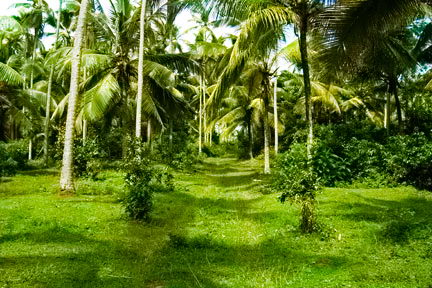 sri lanka beach real estate hikkaduwa
