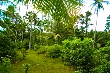 sri lanka beach real estate hikkaduwa