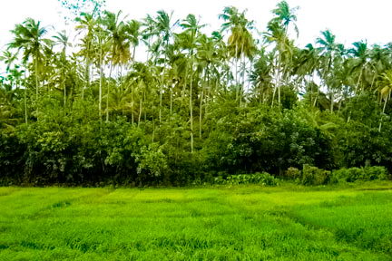 sri lanka beach real estate hikkaduwa