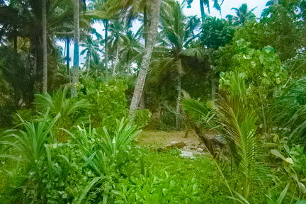 sri lanka beach real estate Property Matara Dickwella