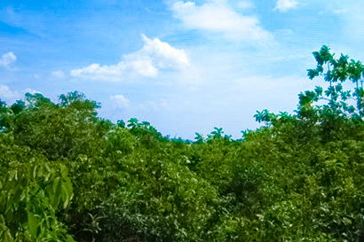 sri lanka beach real estate Property Weligama Mirissa