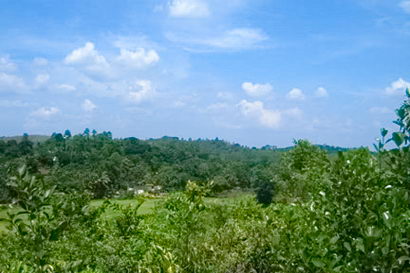 sri lanka beach real estate Property Weligama Mirissa