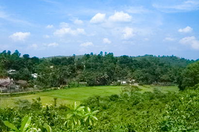 sri lanka beach real estate Property Weligama Mirissa