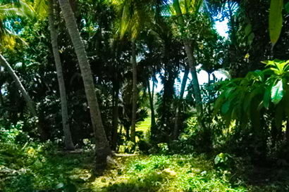 sri lanka beach real estate Property Weligama Mirissa