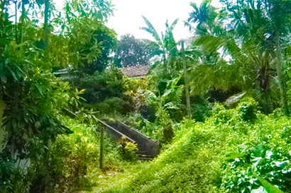 sri lanka beach real estate Property Weligama Mirissa