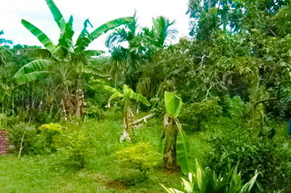 sri lanka beach real estate Property Weligama Mirissa