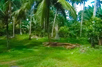 sri lanka beach real estate Property Weligama Mirissa