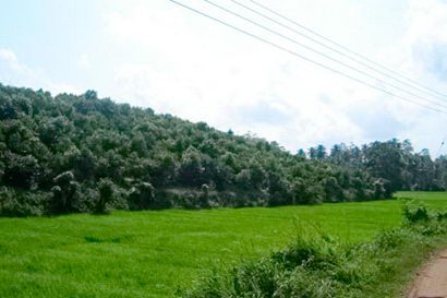 sri lanka beach real estate Property Weligama Mirissa